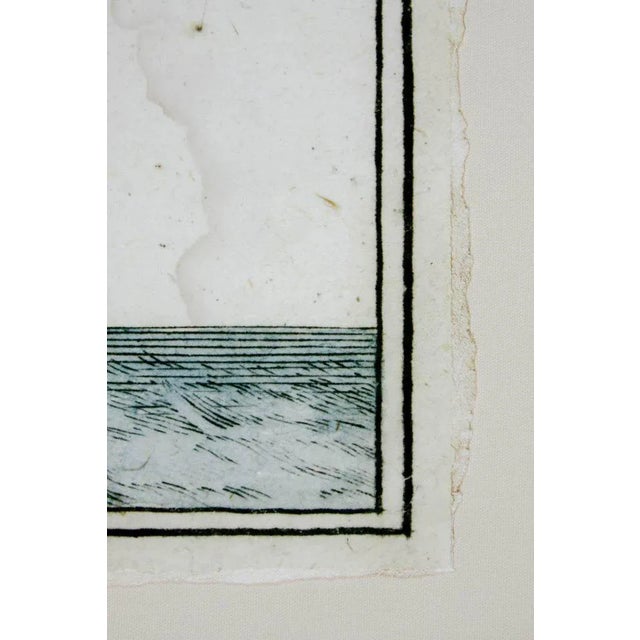 Forest Green 18th Century Botanical Seaweed Print From Natural Curiosities For Sale - Image 8 of 13