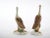 Vanilla Large Pair English Glazed Porcelain / Terracotta Duck Statues For Sale - Image 8 of 13