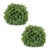 Bring a touch of nature to your home with this set of two Boxwood Foliage Orbs. Measuring 7.5" in diameter, each orb is...