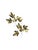Metal Vintage Metal Wall Art Brass Maple Leaf Wall Sculptures – Pair For Sale - Image 7 of 8