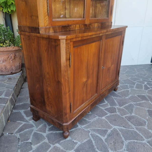 Antique Display Cabinet in Walnut, 1820 For Sale - Image 4 of 14
