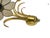 1960s Brass and Lotus Flower Wall Lights by Sa Boulanger, 1960s, Set of 2 For Sale - Image 5 of 15