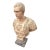Neoclassical Marble Bust of a Roman General For Sale