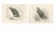 British Eagle Photogravures by L. M. Medland, 1908, Set of 2 For Sale - Image 3 of 9