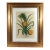 Botanical Hand-Colored Engraving of a Pineapple, Georg Eberhard Rumphius 1741–1750) For Sale
