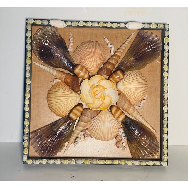 Coastal Gorgeous Sea Shell Natures Beauty Wall Plaque by Elia For Sale - Image 3 of 8