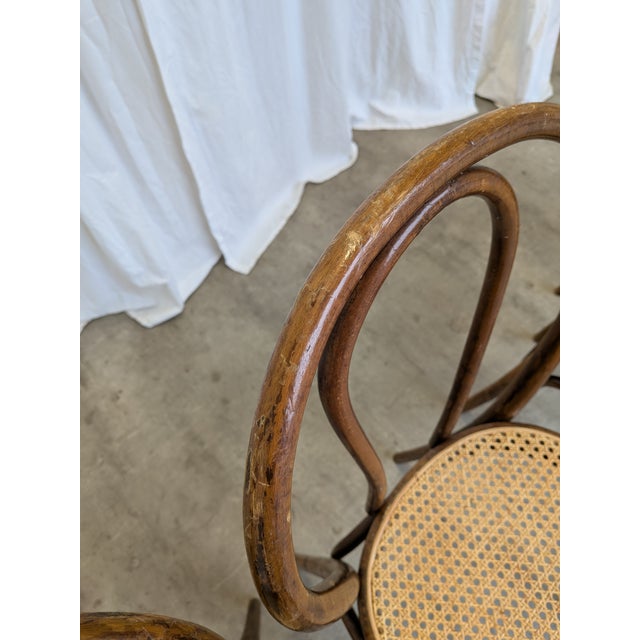 1970s Vintage Dining Chairs with Bentwood Cane Seat, 1970s, Set of 4 For Sale - Image 5 of 18