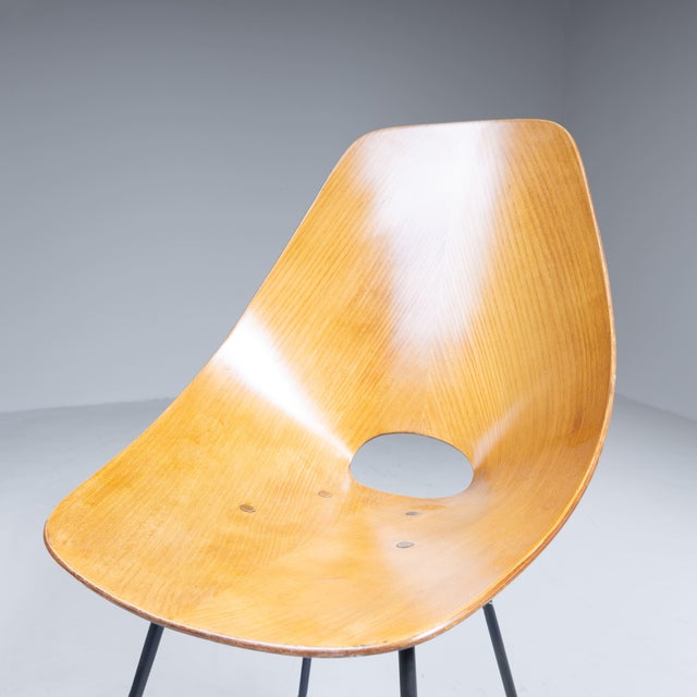 Medea Chairs by Vittorio Nobili, Set of 6 For Sale - Image 4 of 12