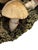 Vintage Italian Tromp l'Oeil Hand-Painted Woven Ceramic Basket of Mushrooms For Sale - Image 12 of 17