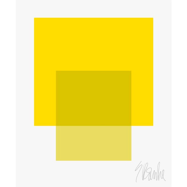 The Interaction of Warm Yellow and Light Celery Fine Art Print 40" X 50" by Liz Roache For Sale