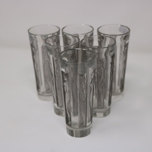 1910s Art Nouveau Rene Lalique Glass Shot Glasses Set of 6 Boxed For Sale - Image 4 of 18