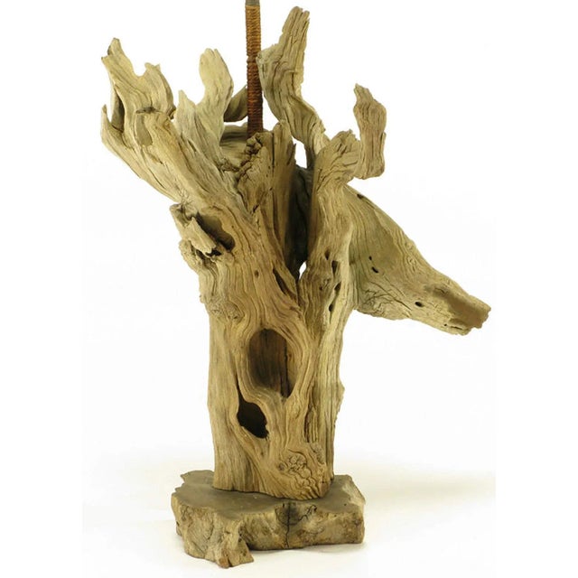 Contemporary Driftwood Table Lamp With Live Edge Wood Base For Sale - Image 3 of 7