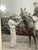 Vintage 47 Original Bert Morgan Dreamer Jamaica Horse Racing Jockey Photograph For Sale In New York - Image 6 of 13
