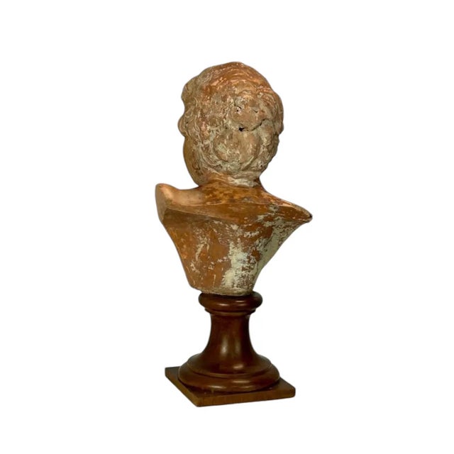Classic Male Bust, 1890s-1910s, Terracotta For Sale - Image 6 of 7