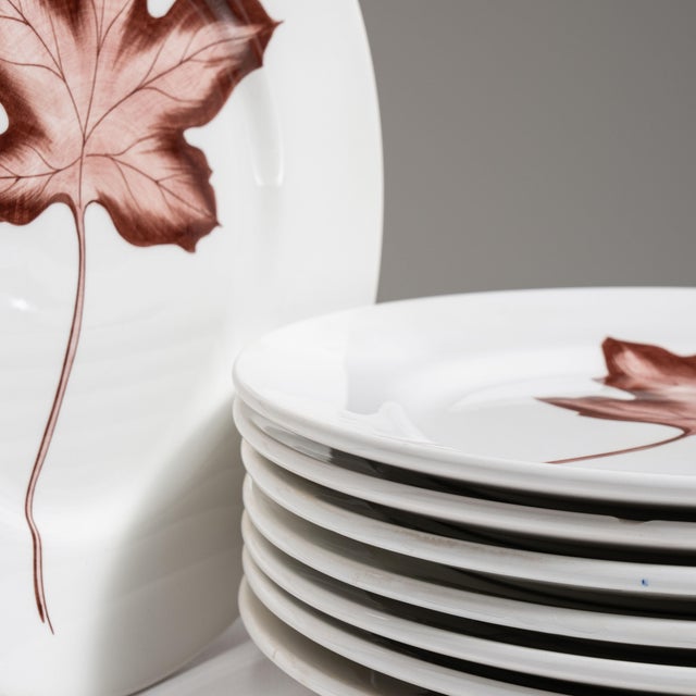 Mid 20th Century Italy White Porcelain Plate For Sale - Image 13 of 15