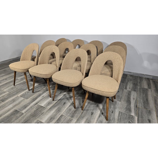 Vintage Dining Chairs by Antonin Suman, 1960s, Set of 12 For Sale - Image 6 of 9