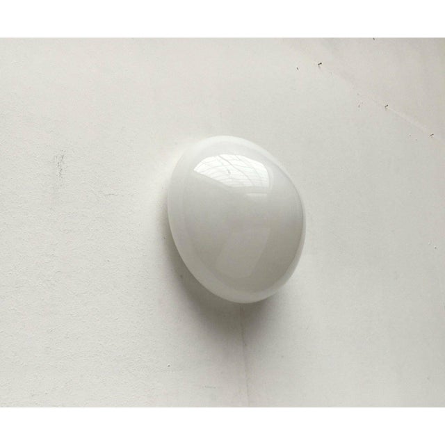 Mid-Century Modern German Glass 961 Ceiling Lamp by Wilhelm Wagenfeld for Lindner, 1950s For Sale - Image 12 of 14