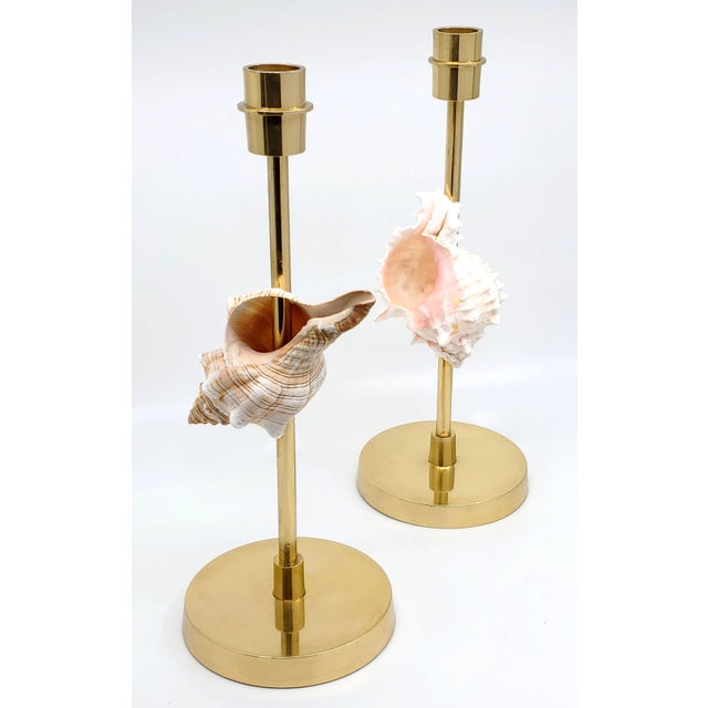 Metal Brass Candlesticks Shells Seashells For Sale - Image 7 of 15