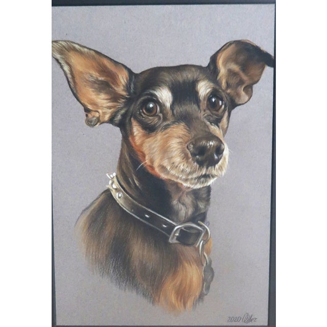 Portrait of a Dog - "My Fur Kid" - Artist Signed, a Bright Addition to Any Decor! For Sale - Image 9 of 10