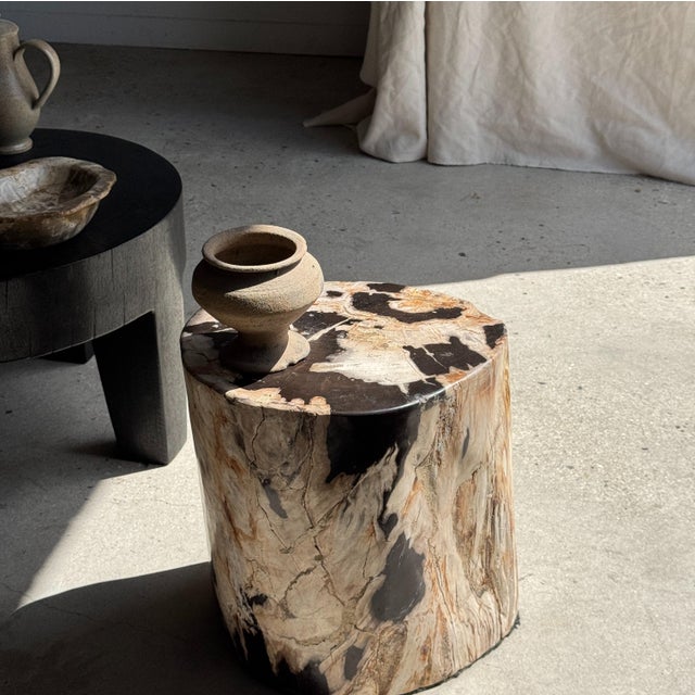 Brutalist Side Table in Petrified Wood with Black Spots, 1980s For Sale - Image 3 of 18