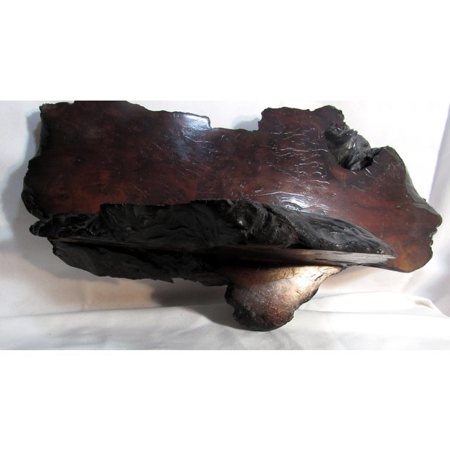 Mid 20th Century Rustic Natural Edge Wood Wall Shelf For Sale - Image 9 of 10