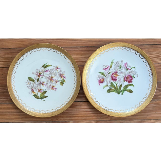 White Set of 10 Antique T&v Limoges Hand-Painted Orchid Cabinet Plates for Ovington Bros., Circa 1895 For Sale - Image 8 of 12