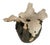 Contemporary Ceramic Vessel For Sale