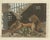 Bertuch, a Lioness and Her Cubs, 1810, Engraving For Sale - Image 9 of 9