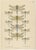 Dragonfly Lithographs from Die Geradflügel Mitteleuropas, 1908, Set of 3 For Sale - Image 4 of 13