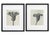 Karl Bossfeldt (German, 1865-1932), Set of Nine "Urformen der Kunst" [Primal Forms of Art], Sheet Fed Photogravures, circa...