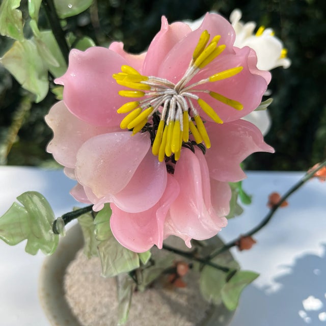 Early 20th Century Bonsai Tree Peony Gem For Sale - Image 5 of 11