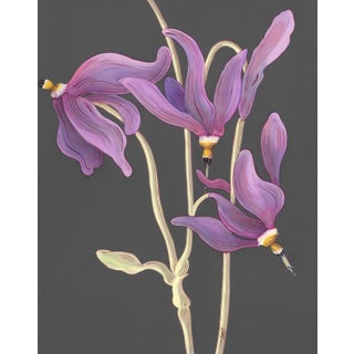"Shooting Star" Purple Flower Painting by Allison Cosmos For Sale