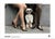 Elliott Erwitt Fashion Shoot New York City Official Exhibition Poster Dimensions: 27 x 19,6 in / 70 x 50 cm Sold unframed