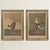 These 19th-century lithographs—War and Peace—carry the layered authorship typical of British printmaking at the time,...
