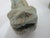 Chinese Bronze Ware Ritual Wine Multi Headed Beast Sheep Lidded Guang Vessel For Sale - Image 15 of 18