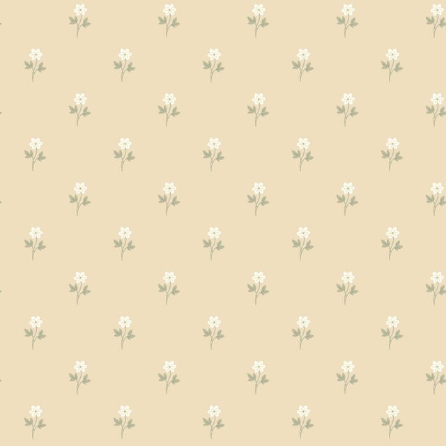 Sample - Anemone By Boråstapeter Wallcovering In Wheat For Sale