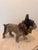 Early 20th Century French Paper Mâché French Bulldog Figure For Sale - Image 4 of 11