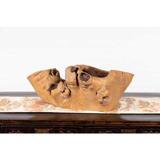 Rustic Japanese Meiji Period Freeform Hibachi with Design, circa 1880 For Sale In New York - Image 6 of 9