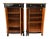 Mid 19th Century Pair of 19th Century Black Lacquered Biedermeier 2 Door Tall Cabinets For Sale - Image 5 of 9