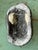Vintage Italian Scagliola Pigmented Plaster Turtle Shell For Sale - Image 10 of 12