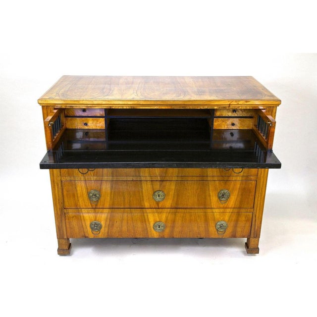 Wood Antique Biedermeier Chest of Drawers, Austria, 1830 For Sale - Image 7 of 18