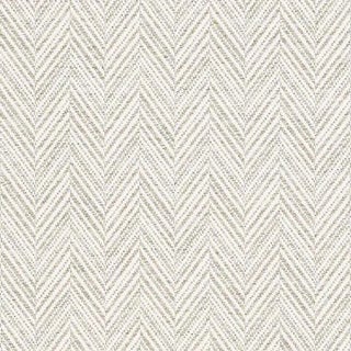 Sample - Schumacher Davis Fabric in Birch For Sale
