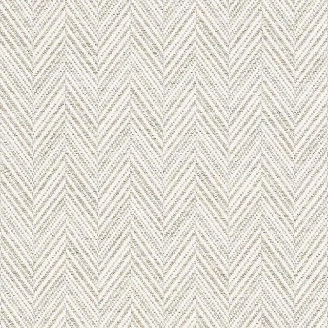 Sample - Schumacher Davis Fabric in Birch For Sale