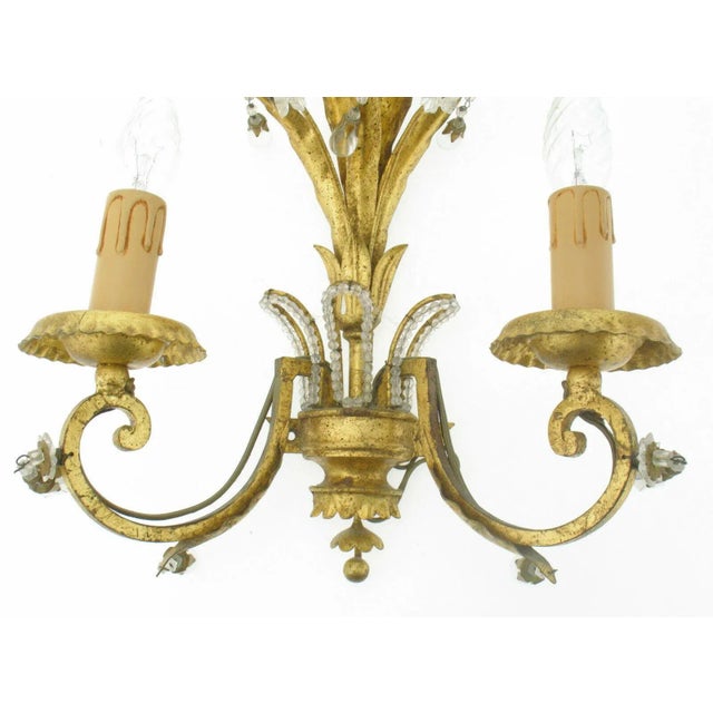 1940s 1940's French Regency Dore Floral Wall Sconce by Maison Bagues For Sale - Image 5 of 8