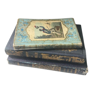 Mid-19th Century French Romantic Cartonnage Books - Set of 3