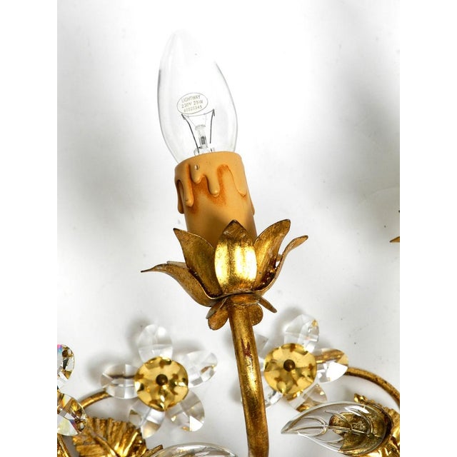 Large Italian Wide Gilt Florentine Wall Lamp with Three Sockets For Sale - Image 15 of 17