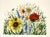 Giclee Print Watercolor Painting “Bees Garden” For Sale - Image 6 of 11