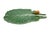 Bordallo Pinheiro Bordallo Pinheiro Cabbage Leaf With Snail Plate, Green For Sale - Image 4 of 4