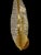 Exceptional G Sciolari wall lighting with tube Murano glass with gilded gold structure. The design and the quality of the...