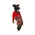 English Fox Doll Large Stuffed Animal Seated Position Vintage English Equestrian Decor For Sale - Image 3 of 6